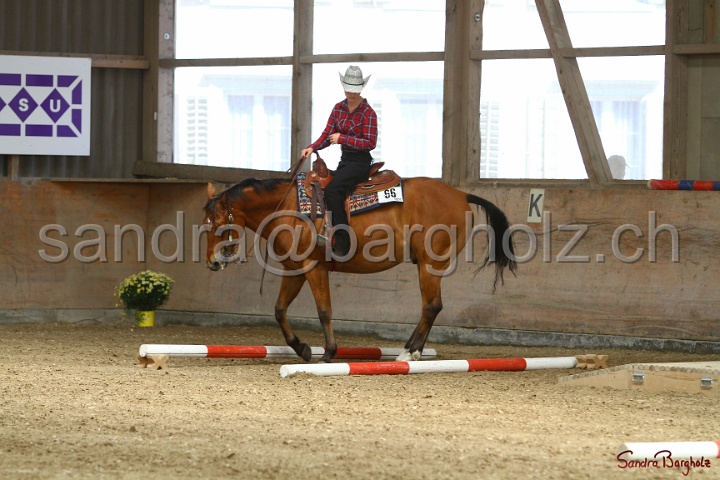 26-ApHC GT_045.jpg